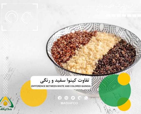 تفاوت کینوا سفید و رنگی