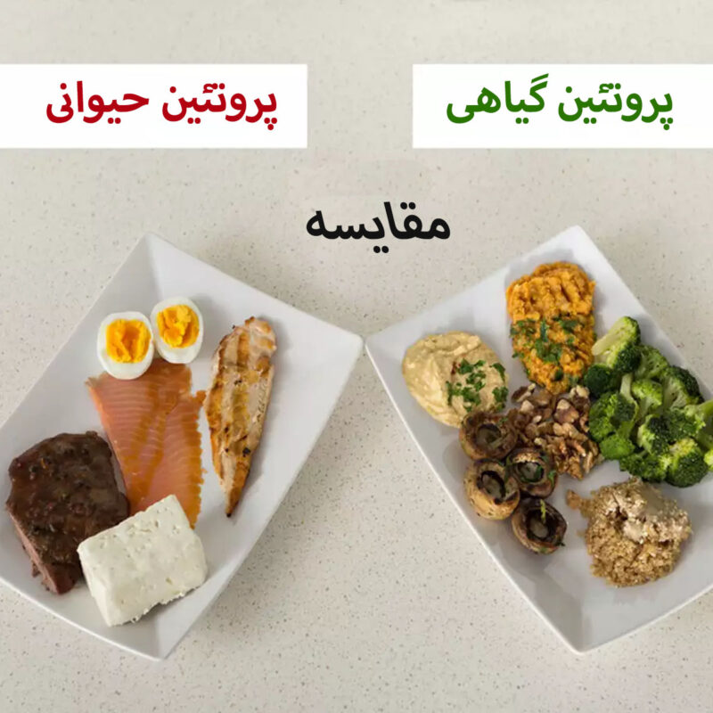 7 منبع فوق العاده پروتئین گیاهی برای عضله سازی